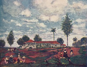 The Coffee Farm, 1916 od A. S. Forrest
