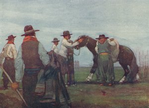 Gauchos Breaking in a Young Horse, 1916 od A. S. Forrest