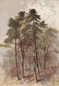 Skupina jedlí (chromolit) od Aaron Edwin Penley