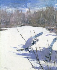 Sojky modré v zimě, studie ke knize Skrývání zbarvení v živočišné říši od Abbott Handerson Thayer