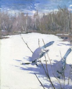 Blue Jays in Winter, studie na knihu Concealing Coloration in the Animal Kingdom, ca. 1905-1909. od Abbott Handerson Thayer
