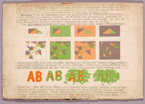 Diagramm und Kupferkopfschlange, Studienmappe für das Buch Concealing Coloration in the Animal Kingdom od Abbott Handerson Thayer