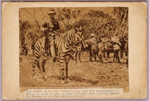 Kůň a křižák Camouflaged, studijní složka ke knize Skrývání zbarvení v živočišné říši od Abbott Handerson Thayer