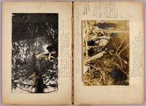 N. Američtí indiáni, studijní složka ke knize Skrývání zbarvení v živočišné říši od Abbott Handerson Thayer