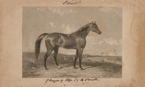 „Aliwal, majetek sira Harryho Smithe, Bart“ (litografie) od Abraham (after) Cooper