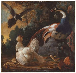 Páv, drůbež a straka v krajině, 1720 od Abraham Bisschop