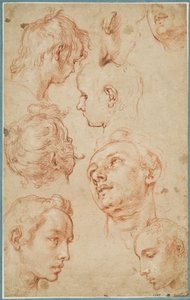 Osm studií hlav mladých mužů od Abraham Bloemaert