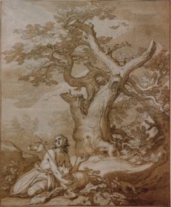 Jana Křtitele ve volné přírodě od Abraham Bloemaert