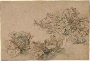 Studie tykve a zelí od Abraham Bloemaert