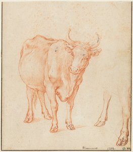 Studie krávy od Abraham Bloemaert
