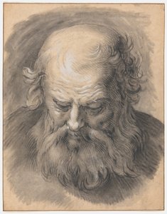 Studie hlavy vousatého muže od Abraham Bloemaert