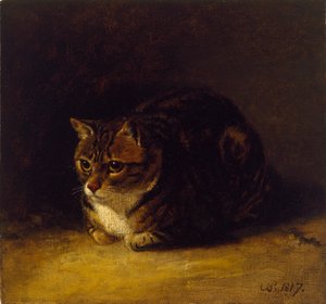 Studie o kočce, 1817