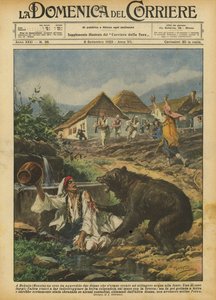 V Bokainu (Bosna) napadl medvěd dvě ženy, které čerpaly vodu z pramene.
