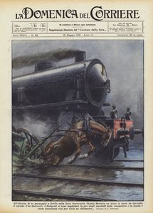 Projíždějící vlak na železničním přejezdu na trati Casale-Mortara? od Achille Beltrame