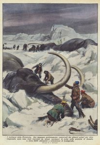 Svědkové prehistorie