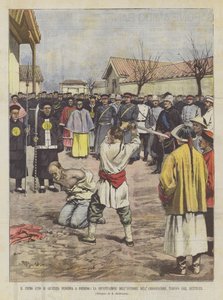 První zákon o trestající spravedlnosti v Pekingu, Velvyslancovo stětí vraha?