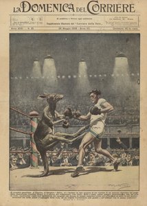 Boxerský klokan od Achille Beltrame