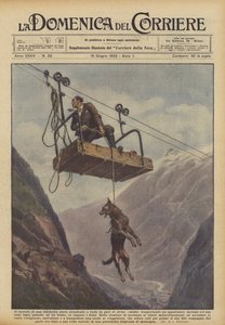 V údolí u Avise (Aosta) sjížděl vozík lanovky, která vezla ?