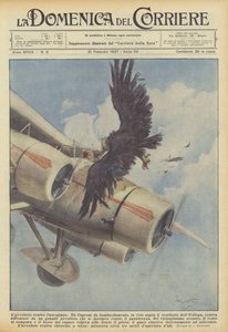 Lavvoltoio versus laeroplane