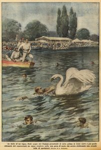 Zuřivost labutě od Achille Beltrame