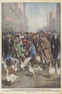 Americké extravagance, husí derby, na Madison Avenue v New Yorku, na inauguraci?