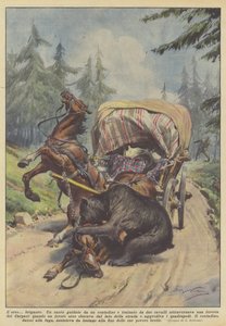 Lorso? bandita