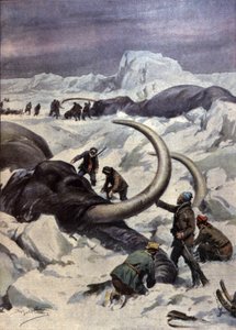Mamuti na severním pólu od Achille Beltrame