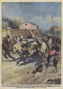 Při vykládání z železničních vagonů v Neapoli se 24 volům podařilo utéct? od Achille Beltrame