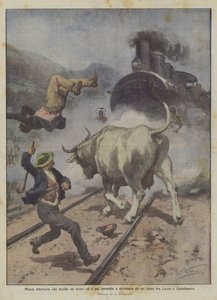 Rozzuřená kráva zabije člověka a poté ji přejede a rozdrtí vlak mezi městy Lucca a Castelnuovo.