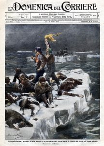 Rybáři tuleňů, z nichž někteří zemřeli, zůstali uvězněni na oceánu unášeným ledem. Ill. de Beltrame. ""La Domenica del corriere"". 12-19/04/1914. od Achille Beltrame