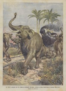 Trenc napaden davem divokých slonů podél železniční trati Assam (Indo-Čína) od Achille Beltrame