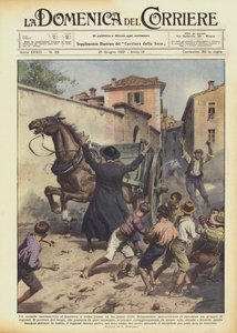 V jedné vesnici v oblasti Bergama se proháněl divoký kůň a hrozilo, že uteče.