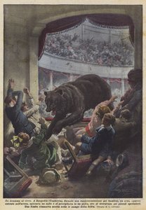 Cirkusové drama