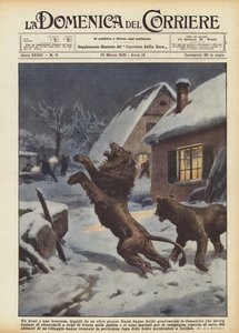 Z cirkusu poblíž Gentu utekl lev a lvice a vážně zranil krotitele lvů.