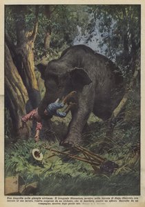 Tragédie v africké džungli
