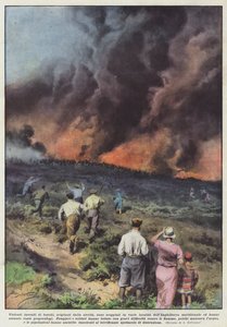 V různých lokalitách vypukly prudké lesní požáry způsobené suchem. od Achille Beltrame