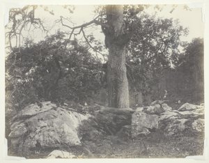 Les a skály, Fontainebleau od Achille Quinet