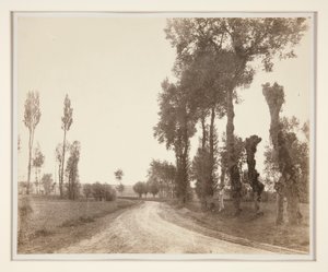 Archicourt, Francie od Adalbert Cuvelier