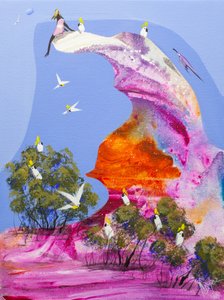 Barevné hnízdiště kakadu