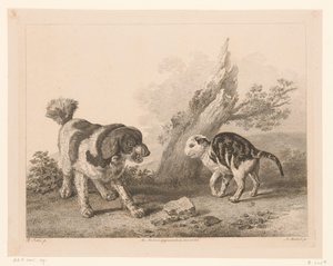 Pes a kočka v bojovém postoji proti sobě Zvířata po obrazech holandských mistrů (název série) Différens animaux graves d