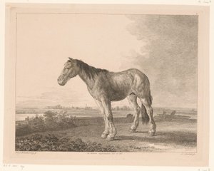 Stojící kůň v krajině řeky Zvířata po obrazech holandských mistrů (název série) Différens animaux graves d