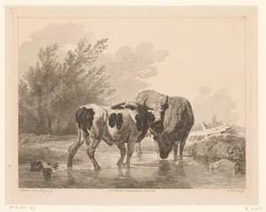 Dvě krávy v potoce Zvířata po obrazech holandských mistrů (název série) Différens animaux graves d