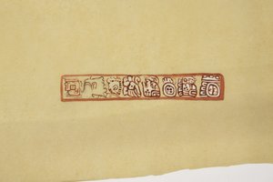 Design z květináče Belize (dříve Britský Honduras) Vyrobeno na pauzovacím papíru (akvarel) od Adela Breton