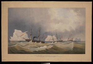H.M.S. Phoenix a její společníci, Diligence a Breadalbane, Mezi ledovými horami