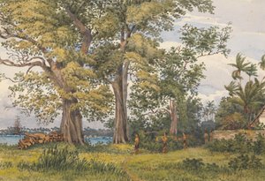 "Apia Bay, Upolu, Navigators Islands, [Samoa] from verandah of my sick quarters, Novr 6th 1849". od Admiral Sir Edward Gennys Fanshawe