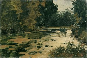 Waldtümpel od Adolf Gustav Ditscheiner