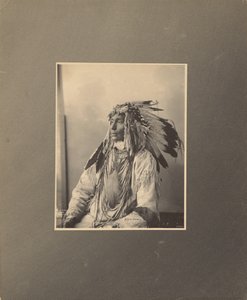 Zabití strakatého koně, Assiniboines