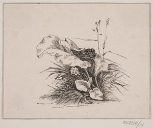Housle od Johan Adolph Kittendorff