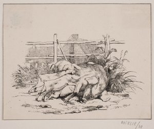 Prasata od Johan Adolph Kittendorff