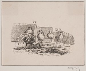 Kohout od Johan Adolph Kittendorff